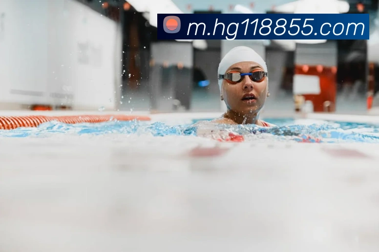 互动解说服务